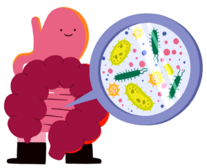 Guts UK's gut brand character of the gut microbiome. It shows the gut (oesophagus, stomach, small intestine and colon), stood up, looking happy, with a magnification preview of colourful gut bacteria coming out of it.