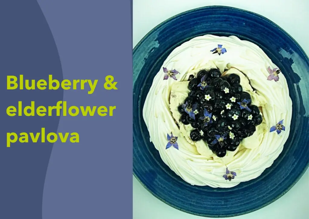a picture of a plate of blueberry and elderflower pavlova with the text 'blueberry and elderflower pavlova.'