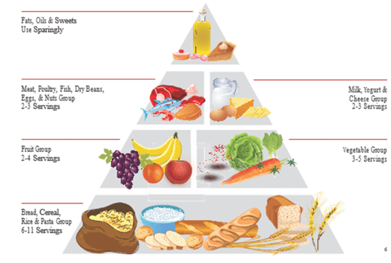 food pyramid - Guts UK