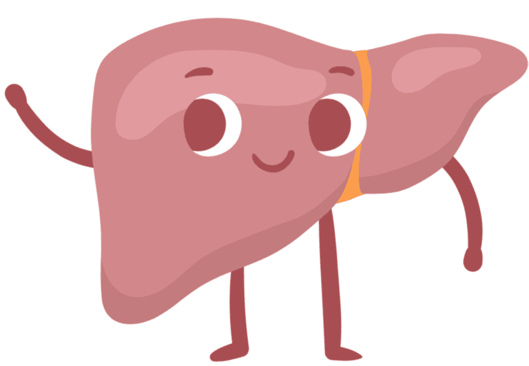 What is NonAlcoholic Fatty Liver Disease? Guts UK