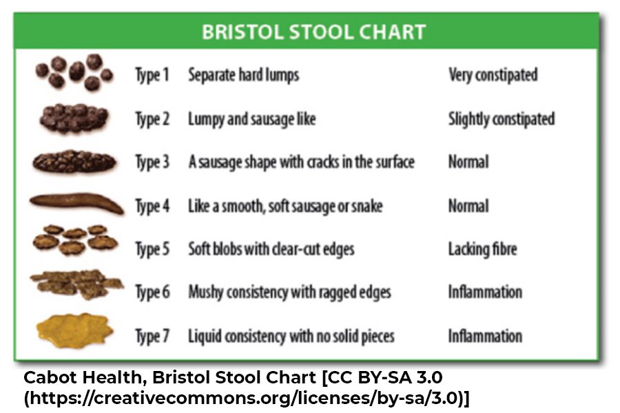 Bristol Stool Chart: The Different Types Of Poop GoodRx, 48% OFF