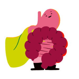 Guts UK's brand character of the gut (oesophagus, stomach, small intestine and colon) wearing a bright green cape and smiling proudly, looking to the upper right.