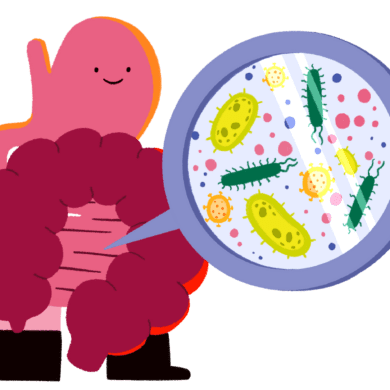 Guts UK's gut brand character of the gut microbiome. It shows the gut (oesophagus, stomach, small intestine and colon), stood up, looking happy, with a magnification preview of colourful gut bacteria coming out of it.
