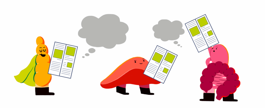 Guts UK brand illustrations of the pancreas, liver and gut, holding magazines, thinking.