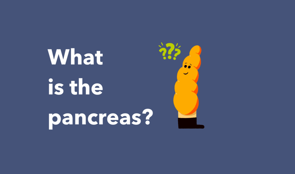 Guts UK's brand illustration character of Pablo the pancreas smiling and looking up left. The pancreas is yellow and wears black boots. There are 3 bright green question marks to the left of his face and to the left of the image, text reads 'What is the pancreas?'